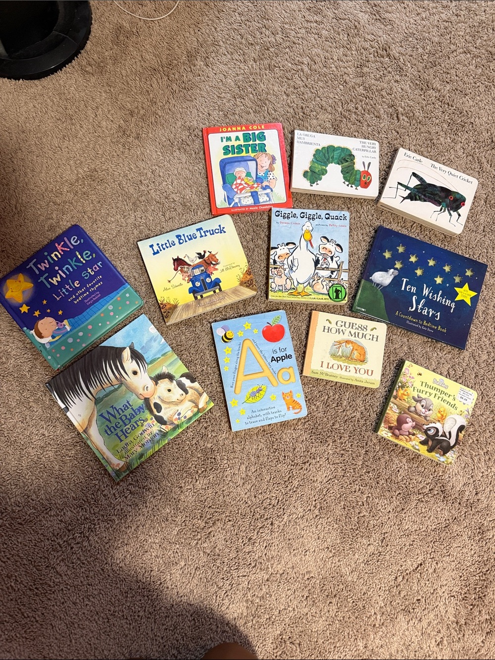 Classic Children's Board Book Bundle - Assorted Colors